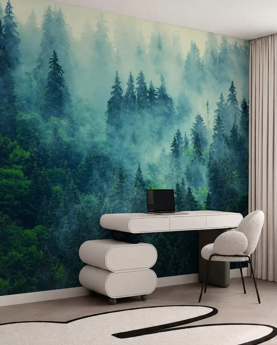murales de pared Bosque de niebla por la mañana u33150