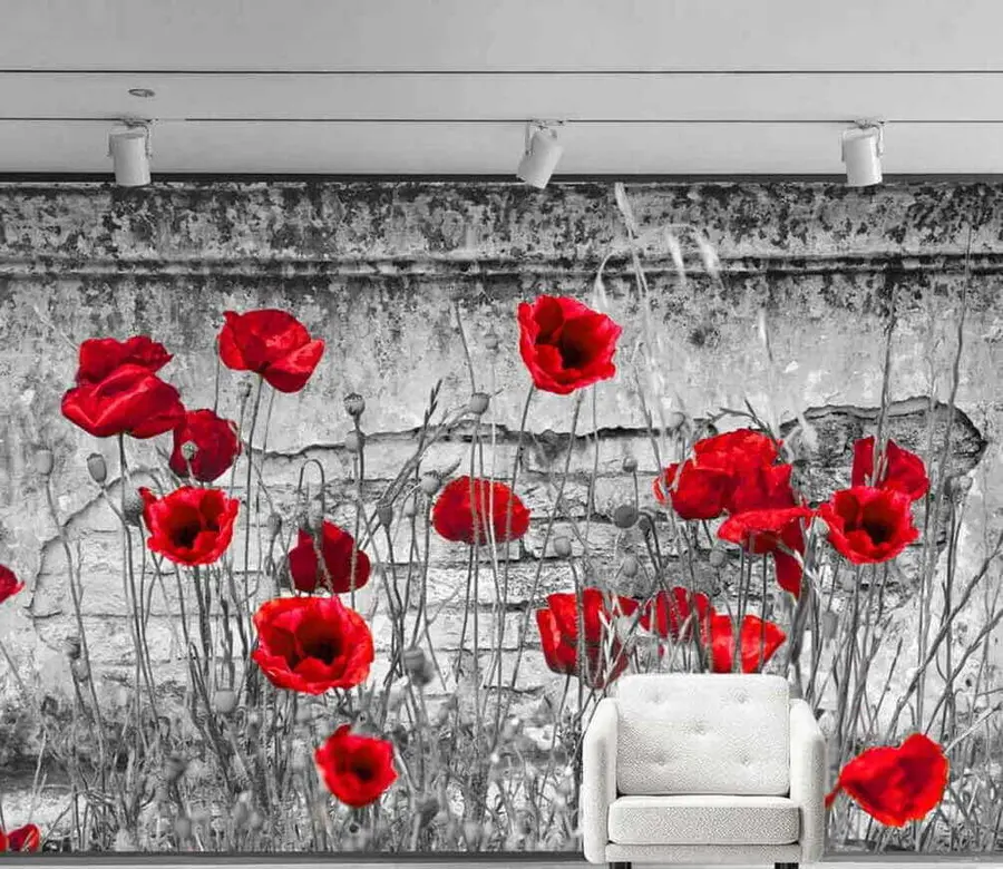 Murales de pared Amapolas brillantes en el fondo de la pared. u40552 murales de pared Amapolas brillantes en el fondo de la pared. u40552
