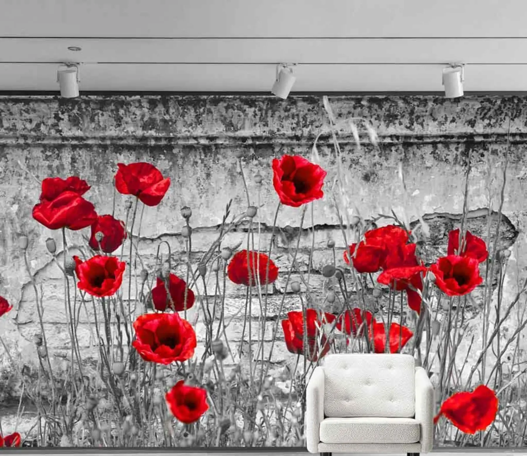 murales de pared Amapolas brillantes en el fondo de la pared u40552