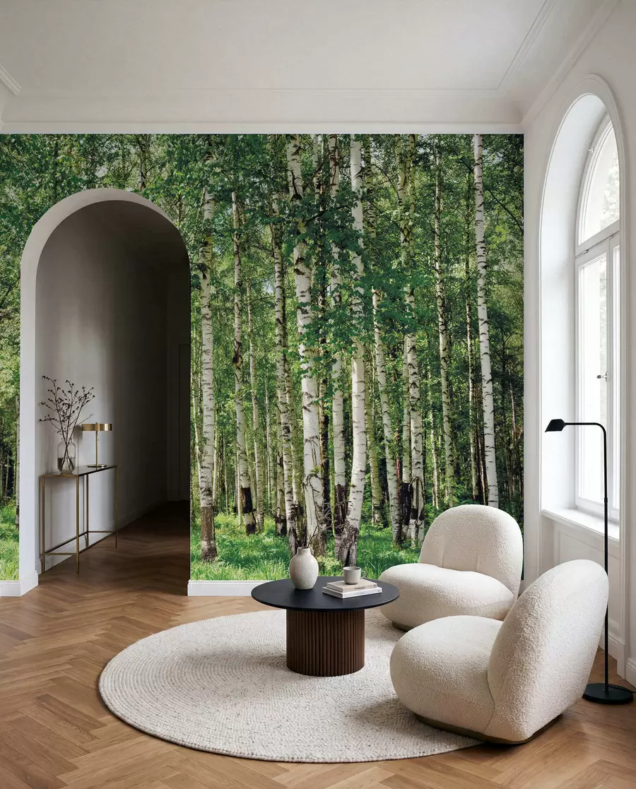 murales de pared Bosque de abedules u52530