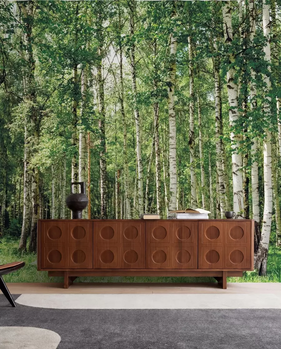 murales de pared Bosque de abedules u52530