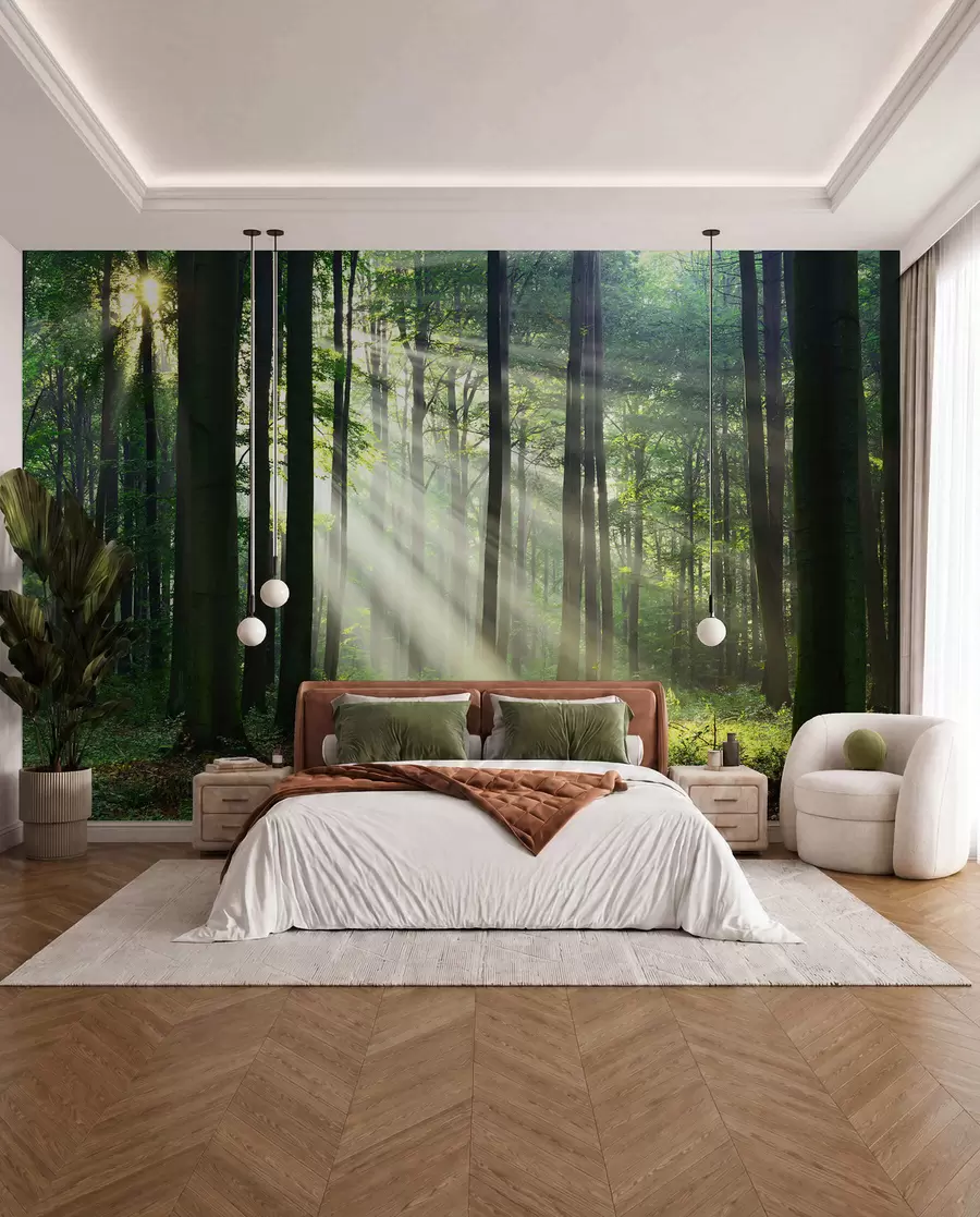murales de pared Rayos soleados en el bosque u56787