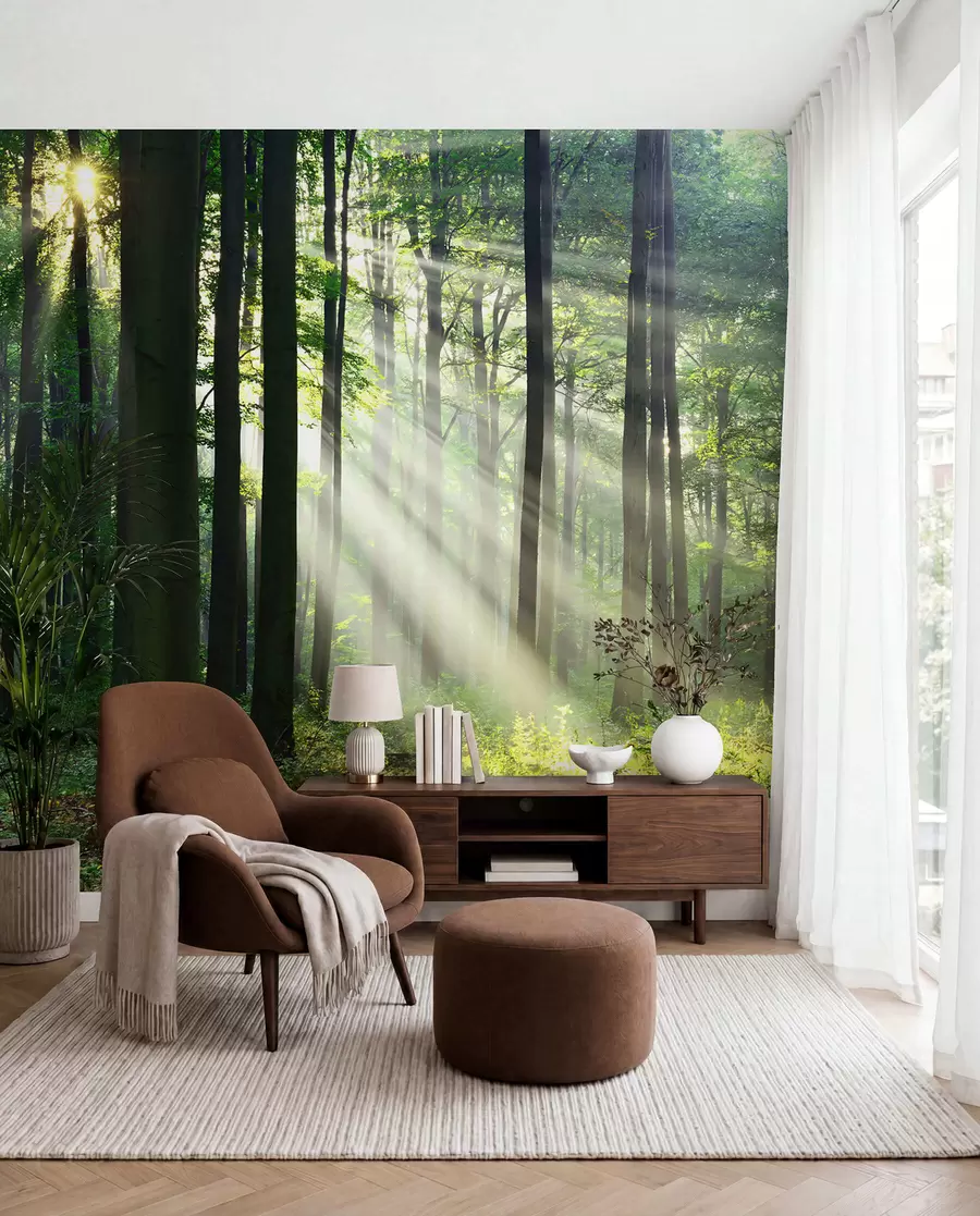 murales de pared Rayos soleados en el bosque u56787