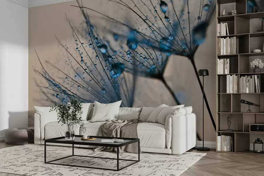 murales de pared Dientes de león con gotas de agua u57557