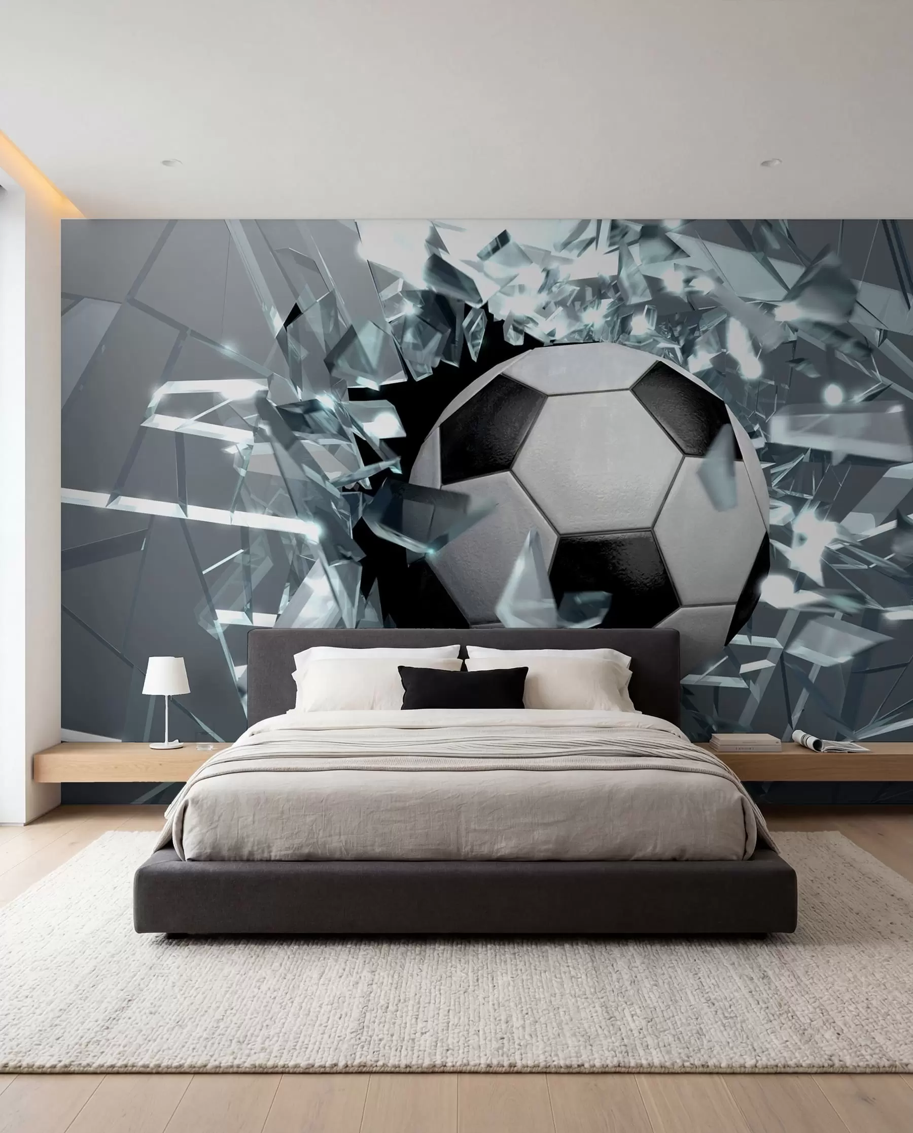 murales de pared Balón a través del cristal u64581