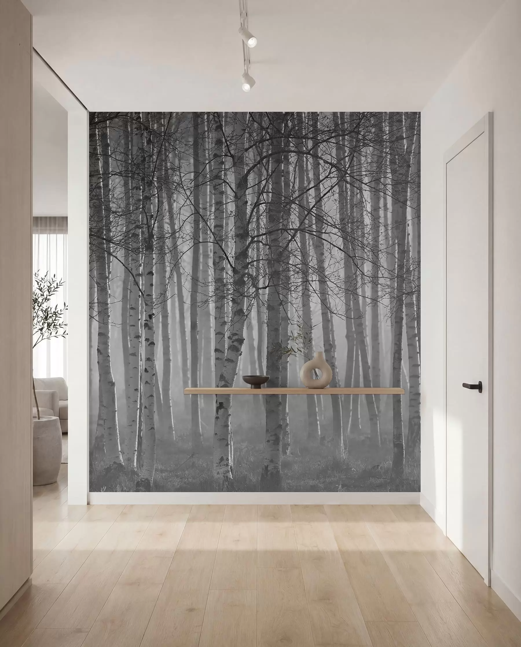 murales de pared Niebla de la mañana en el bosque de abedules u58971