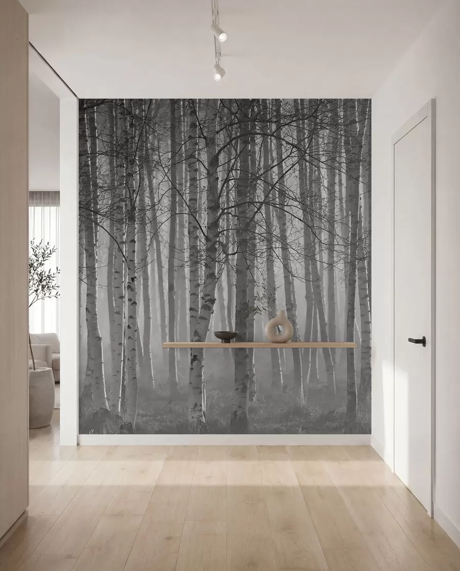 murales de pared Niebla de la mañana en el bosque de abedules u58971