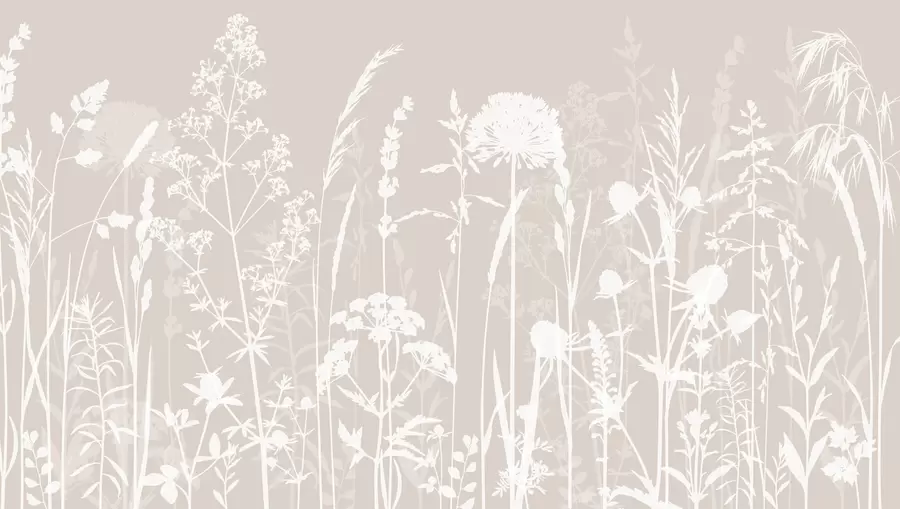 murales de pared Minimalismo de flores y plantas de campo suaves w01270