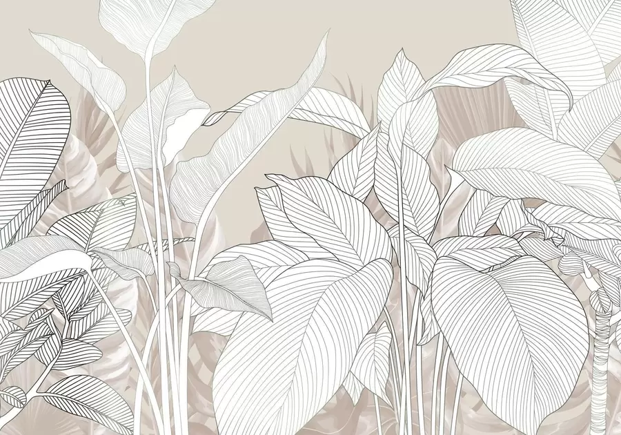 murales de pared Ilustración monocroma de grandes hojas y follaje estilizados con intrincadas líneas y texturas w08436v1