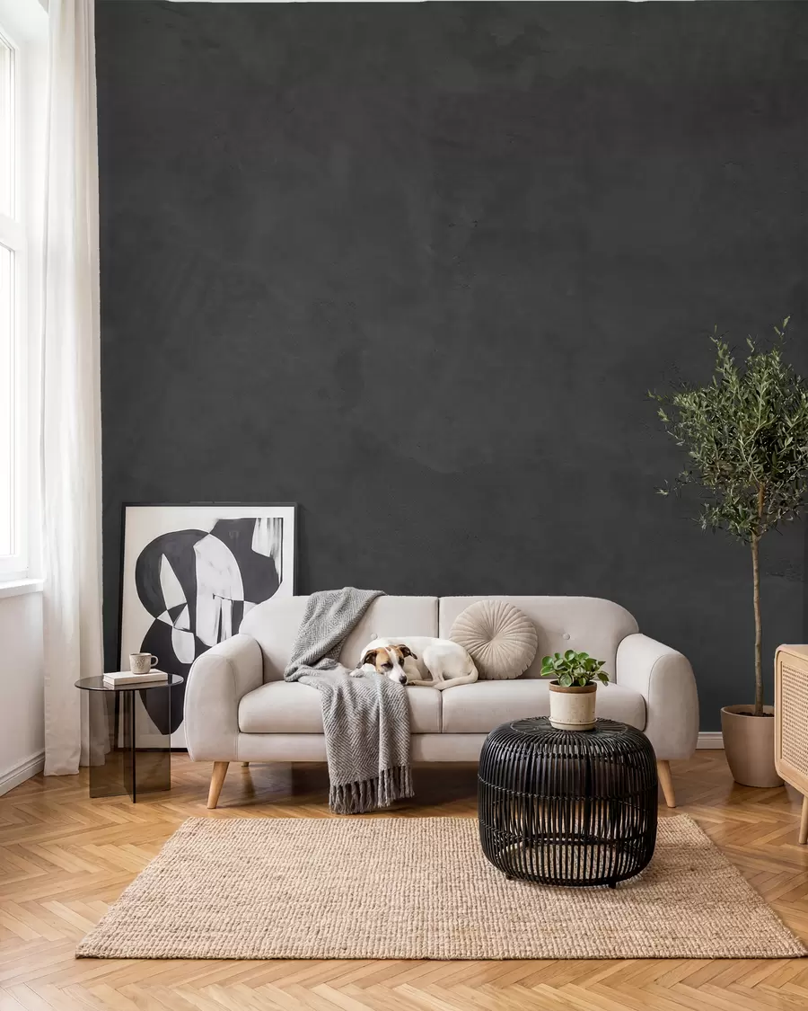 murales de pared Concreto en antracita w02553