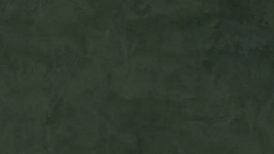 murales de pared Fondo verde con efecto de muro de hormigón w02553v1