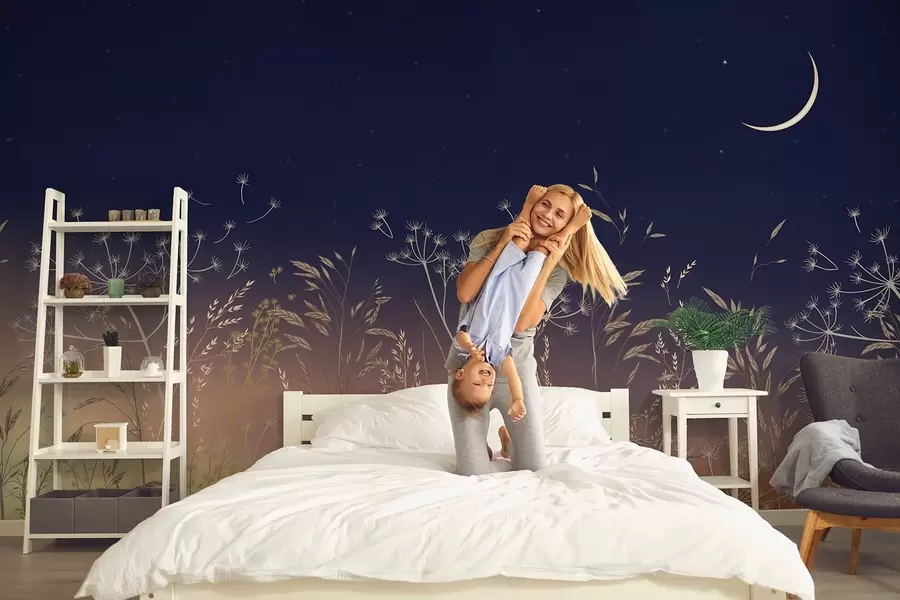 murales de pared Dientes de león con flores silvestres sobre un fondo de puesta de sol con un cielo azul y la luna w08567