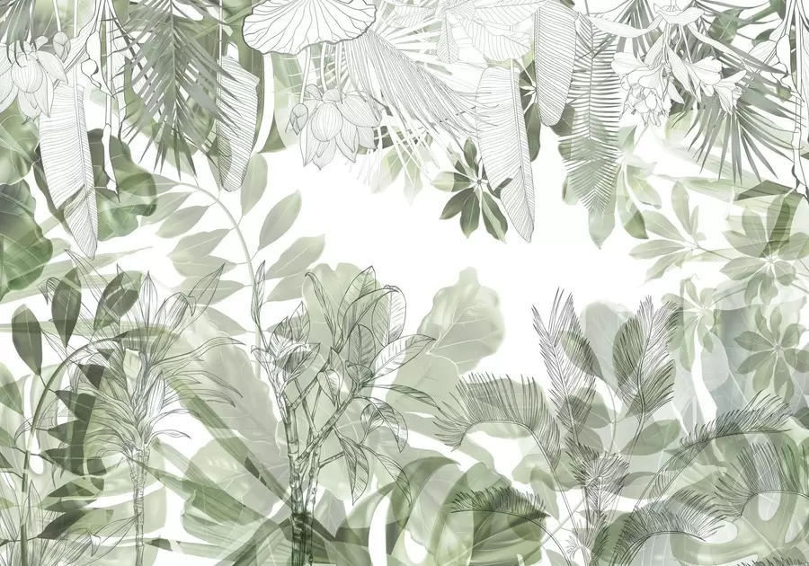 murales de pared Plantas y hojas tropicales con estampado de jungla verde sobre fondo blanco w08823