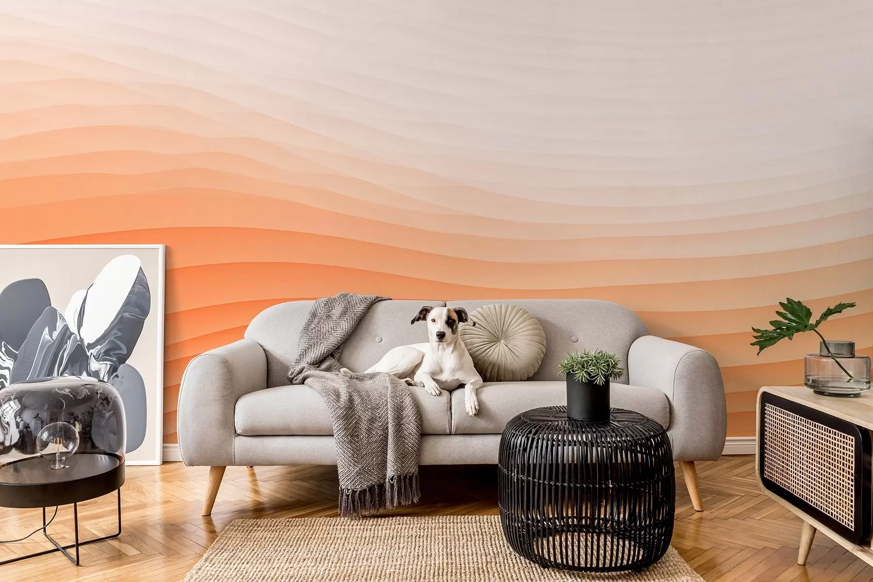 murales de pared  w08943