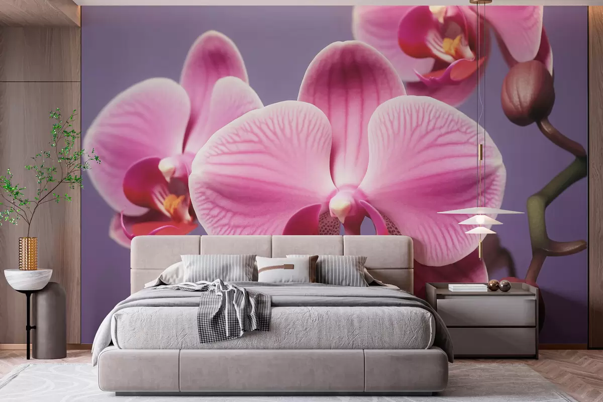 murales de pared Hermosa flor de orquídea w03498