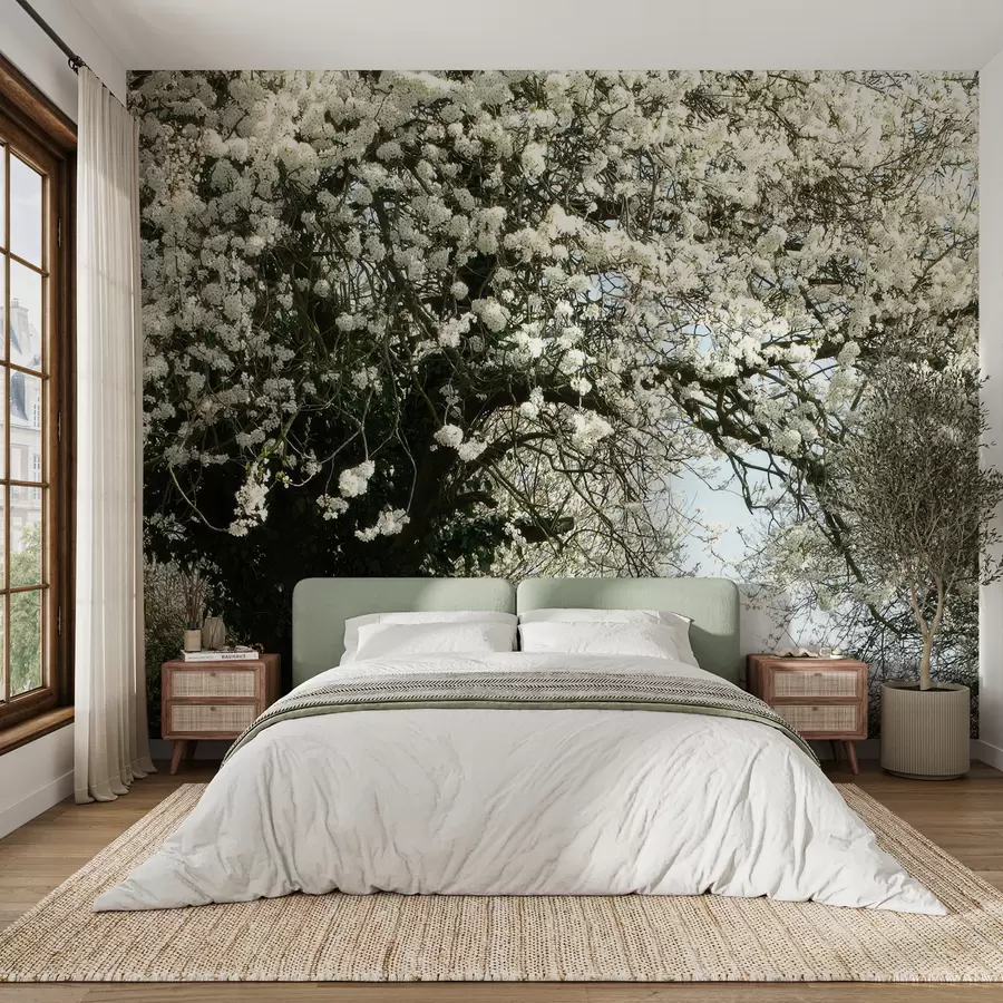 murales de pared Camino del pueblo, árbol en flor u55071