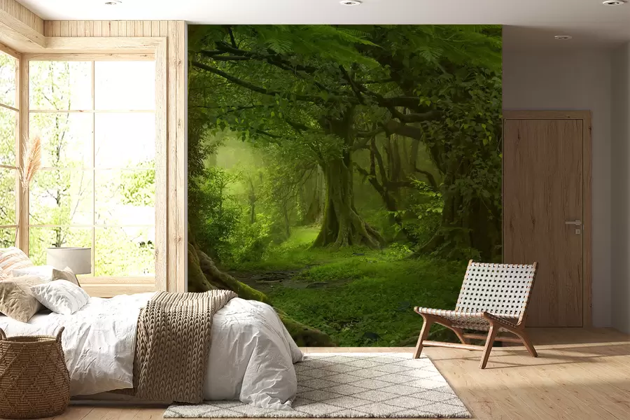 murales de pared Bosque antiguo u56167