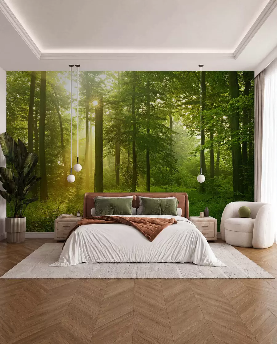 murales de pared Silencio en el bosque soleado u57295