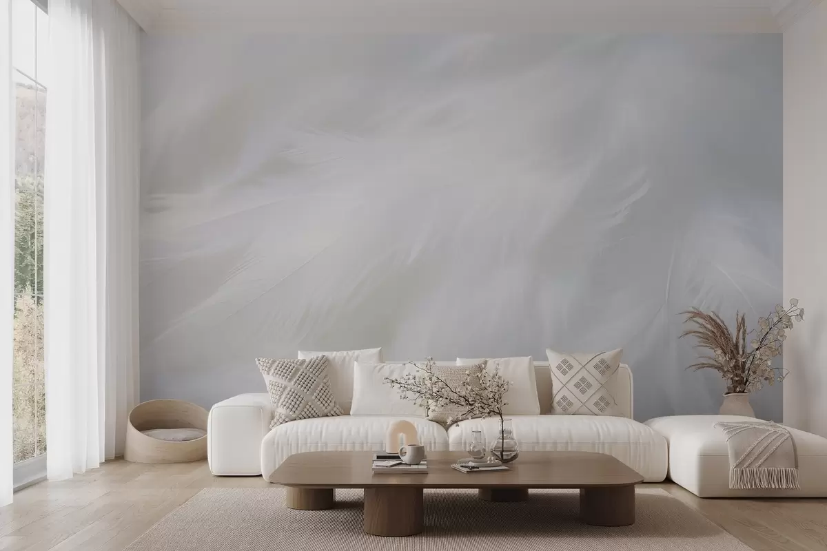 Murales de pared Plumas blancas y suaves, textura ligera w04442 murales de pared Plumas blancas y suaves, textura ligera w04442