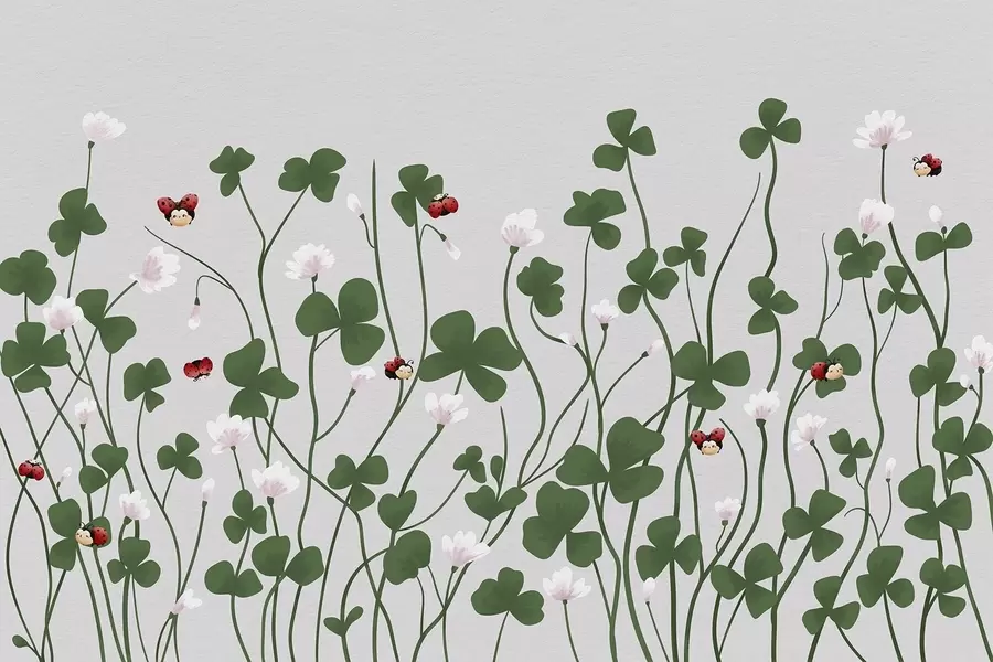murales de pared Trébol de prado pintado w04677