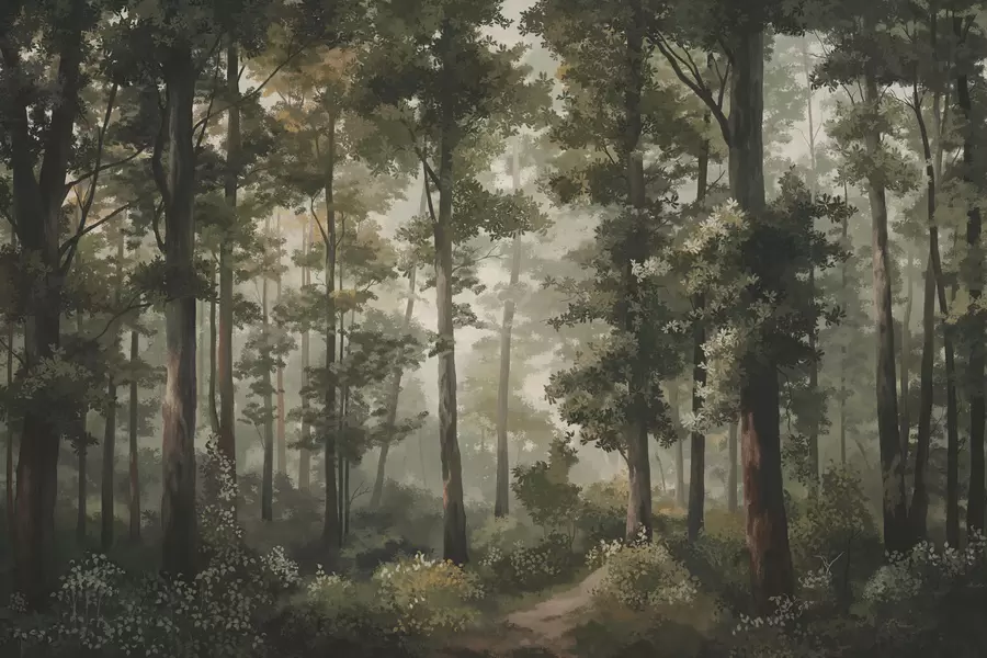 murales de pared Ilustración de un bosque con niebla, árboles altos y un sendero. w05089
