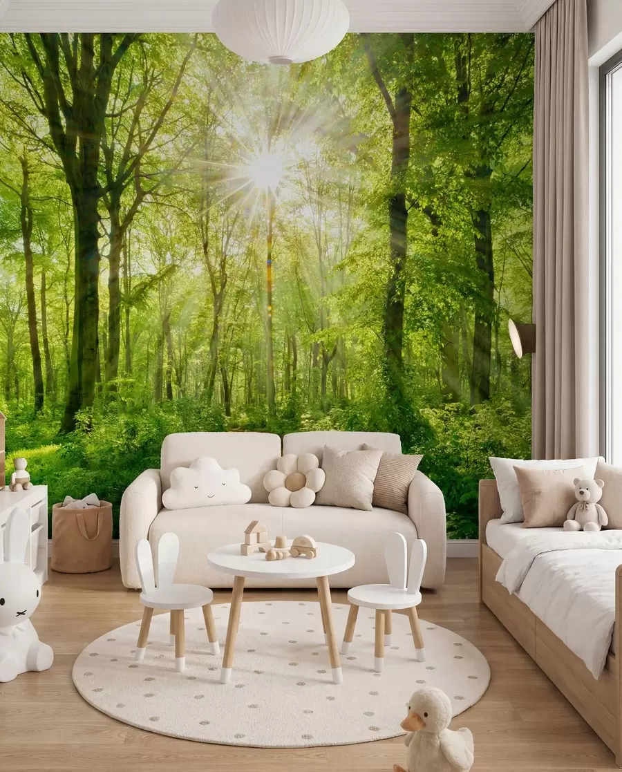 murales de pared Sendero bajo ramas verdes u22252