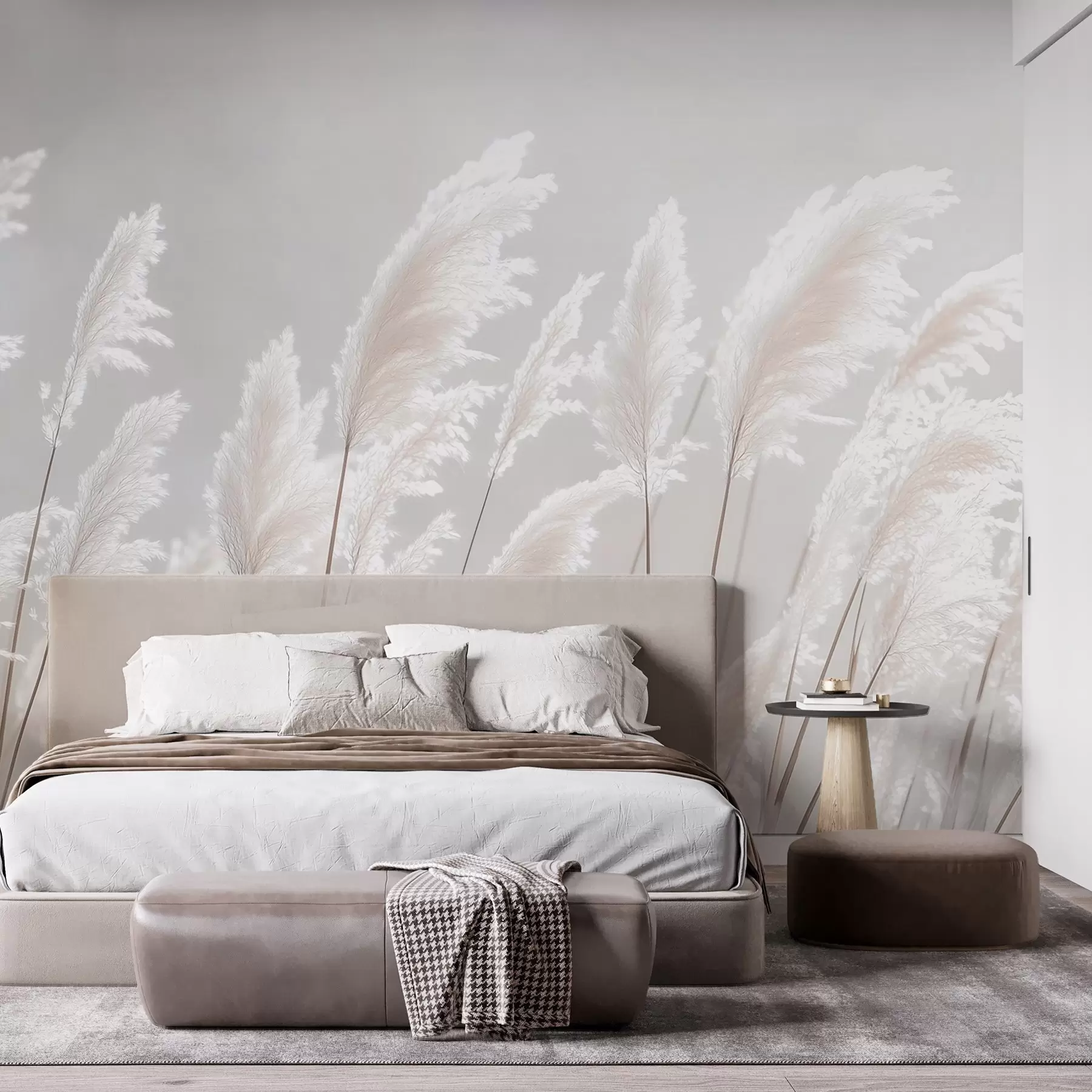 murales de pared Suave hierba de la pampa blanca bajo la suave luz de la mañana. w09717