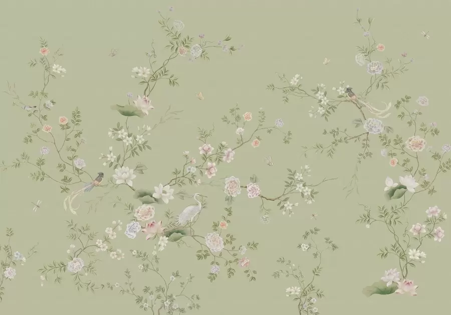 murales de pared Ramas en flor con pájaros sobre un fondo verde claro w05416