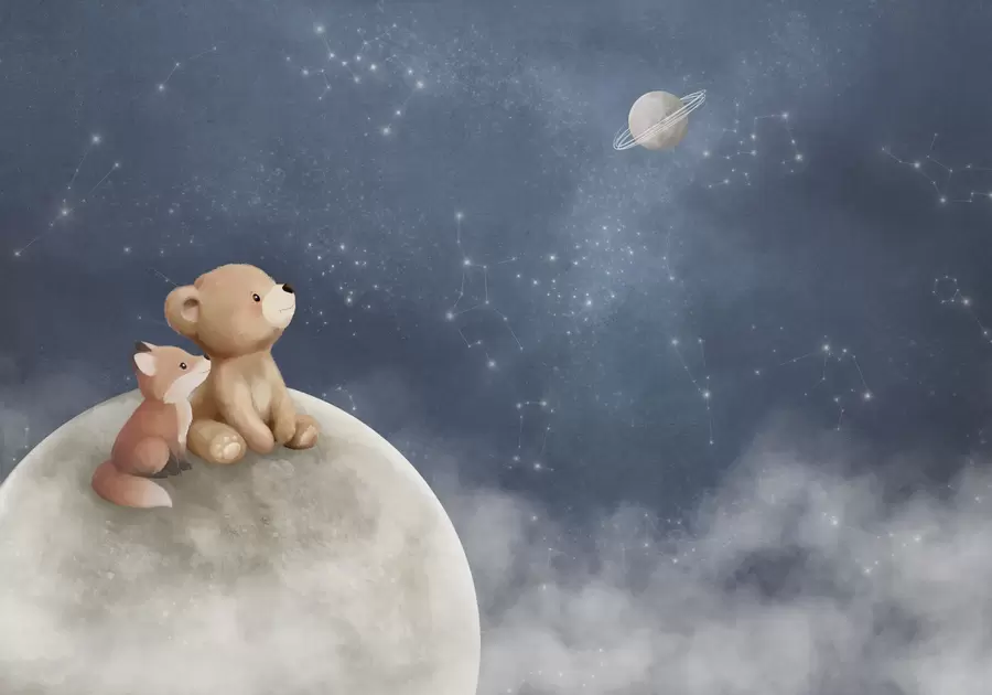 murales de pared Ilustración en tonos pastel de un oso y un zorro bajo el cielo nocturno w05431
