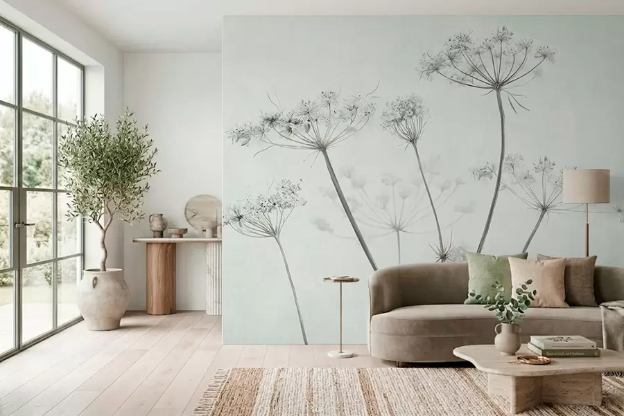 murales de pared Delicadas umbelas secas sobre un fondo suave y claro w05543v1