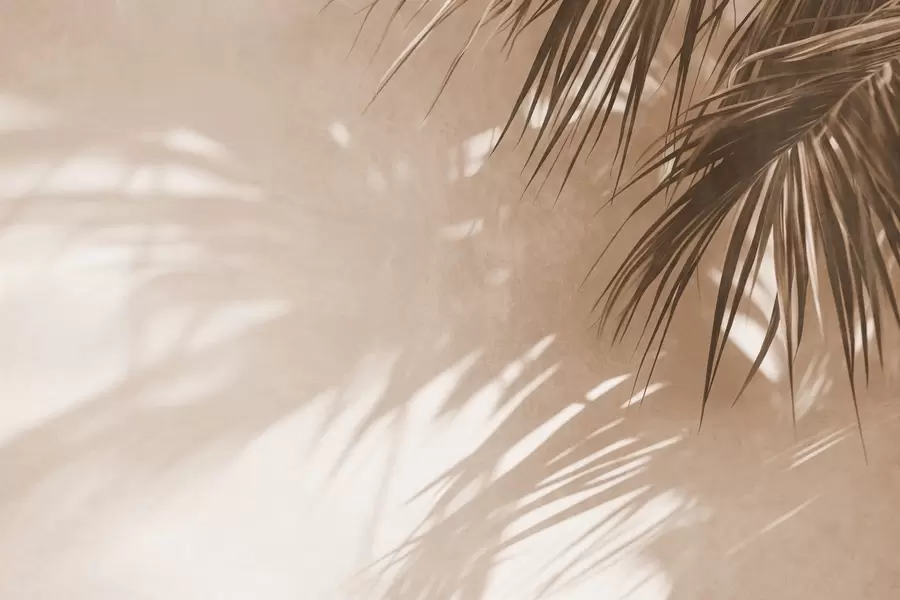 murales de pared Hojas de palmera con textura y sombras, un ambiente tropical, minimalismo w09890