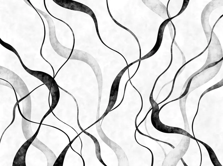 murales de pared Líneas fluidas y abstractas en tonos monocromáticos w05699