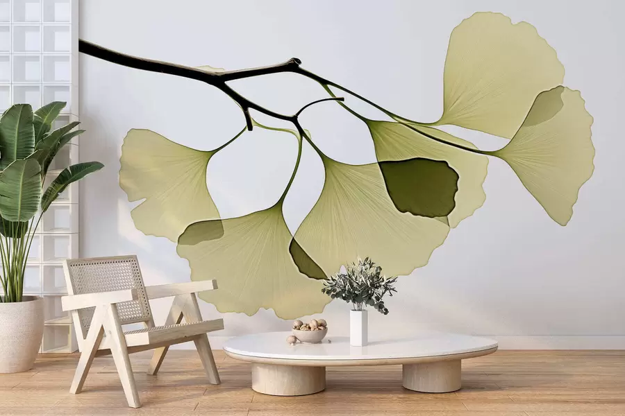 murales de pared Hojas de ginkgo en forma de abanico w09968