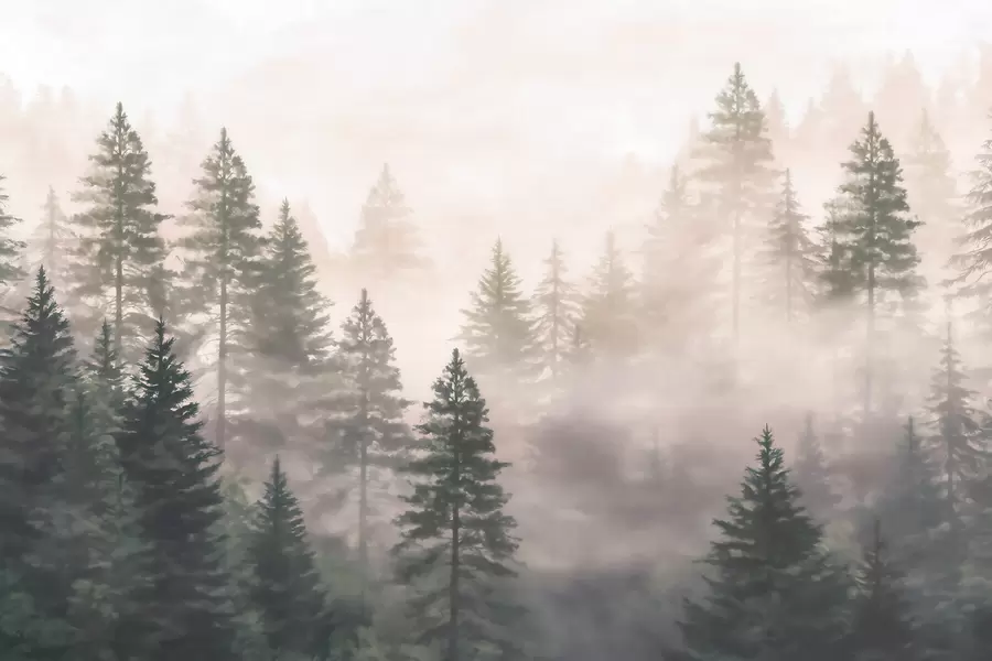 murales de pared Bosque de coníferas envuelto en niebla, en tonos verde oscuro, al estilo de la acuarela w09929