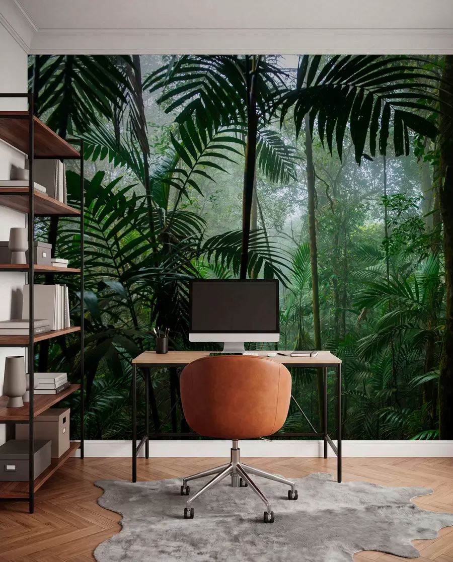 murales de pared Un bosque tropical u72344