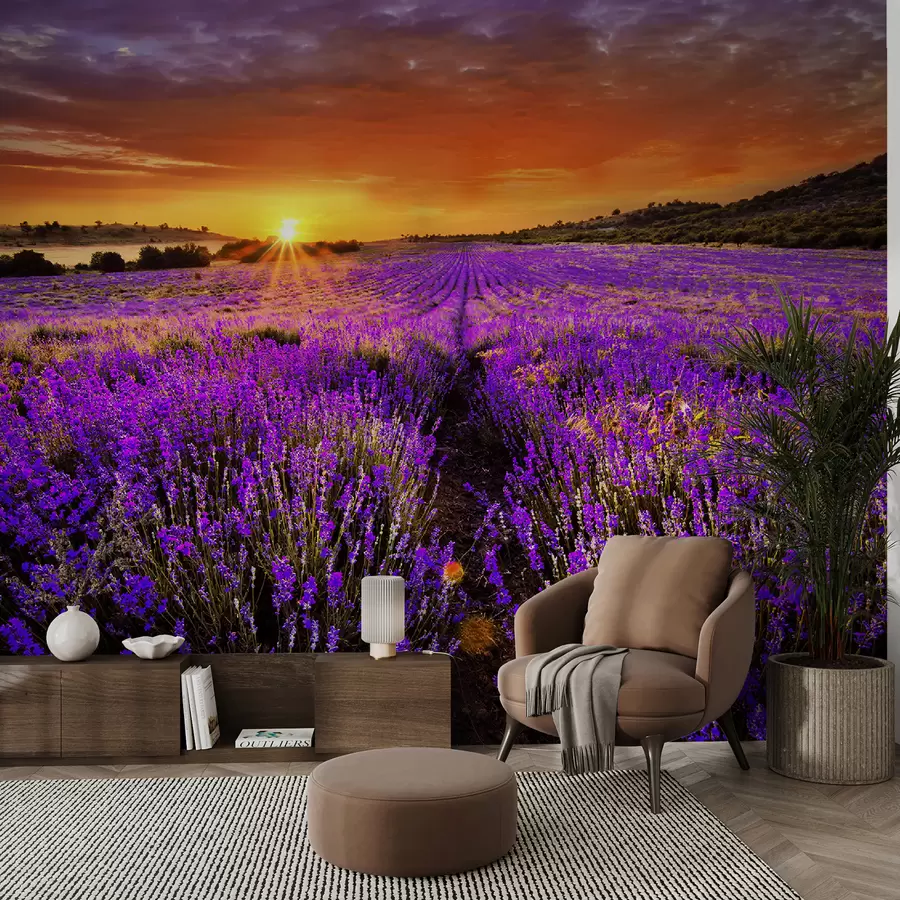 Murales de pared Flor, nube y cielo u57609 murales de pared Flor, nube y cielo u57609