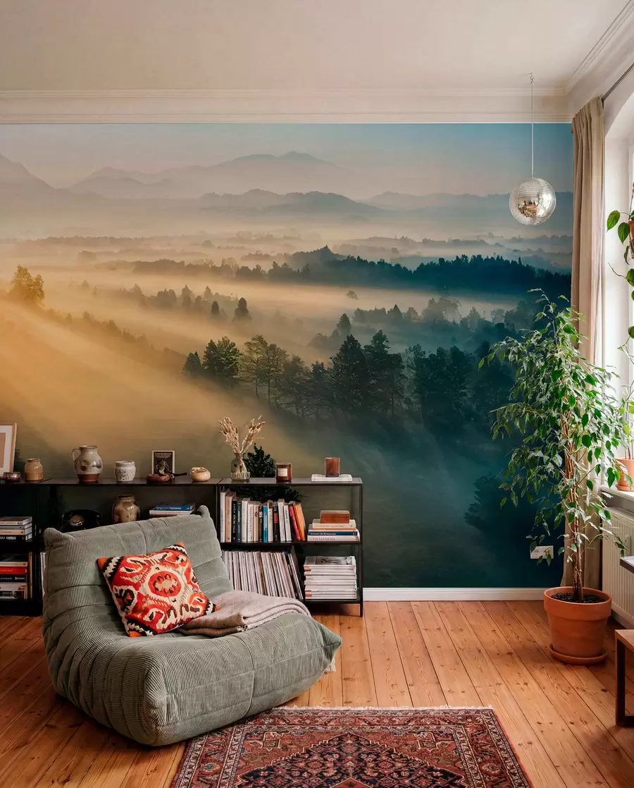 murales de pared Rayos de sol sobre pinos u73864