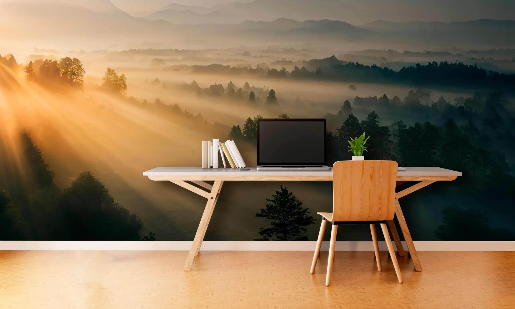 murales de pared Rayos del sol y el bosque nebuloso u73864