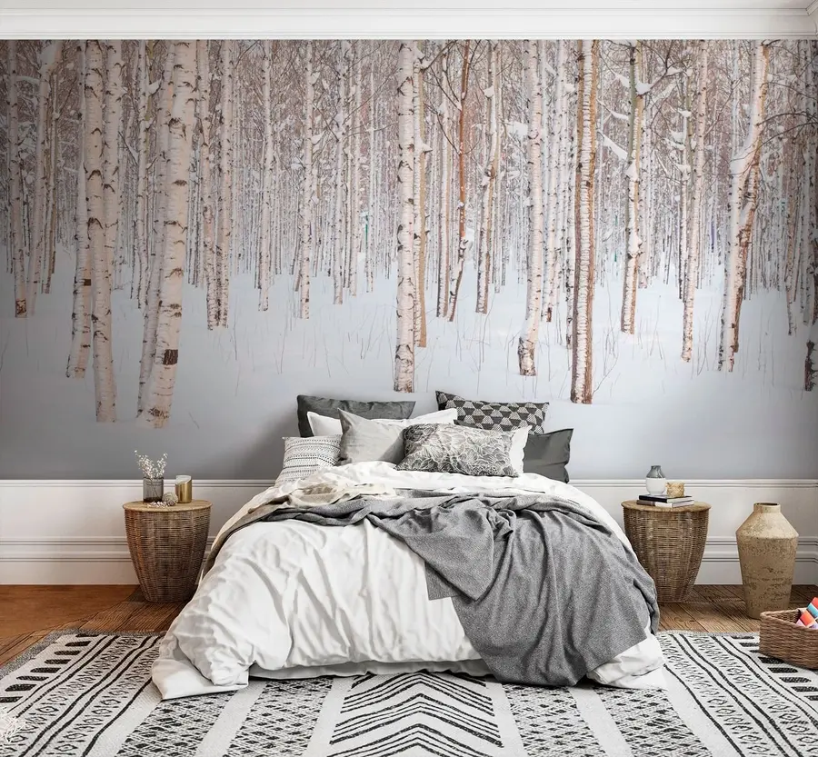 murales de pared Bosque de abedul en la nieve u74232