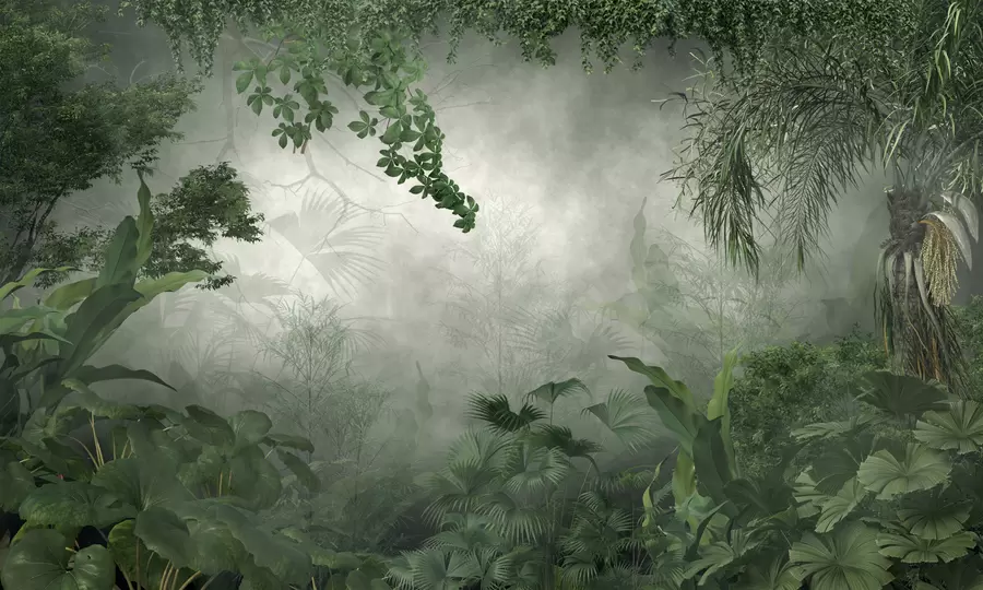 murales de pared Misteriosa jungla u74409