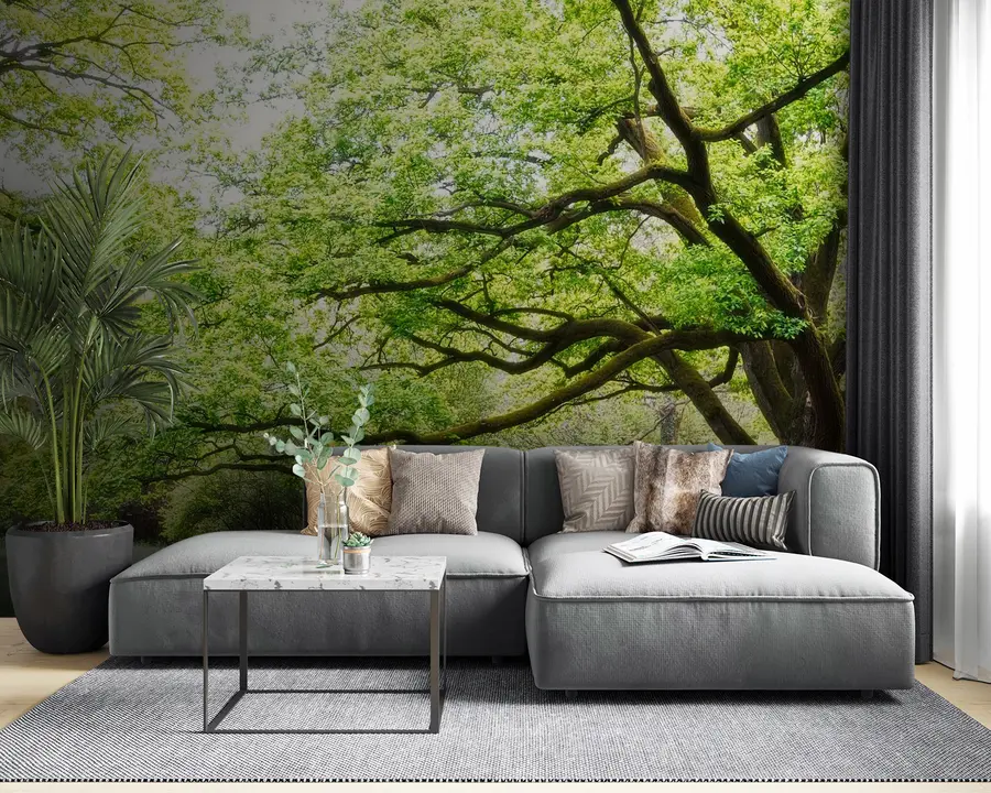 murales de pared Paisaje vegetal, verde y natural u55659