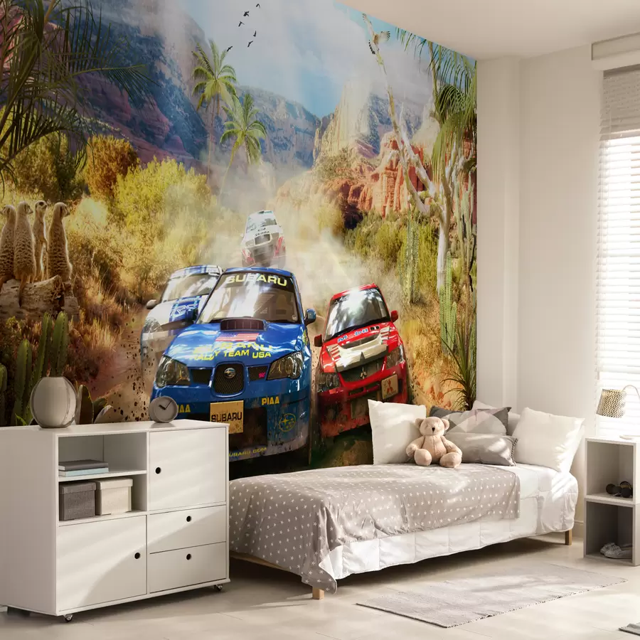 murales de pared Rally en el cañón u64438