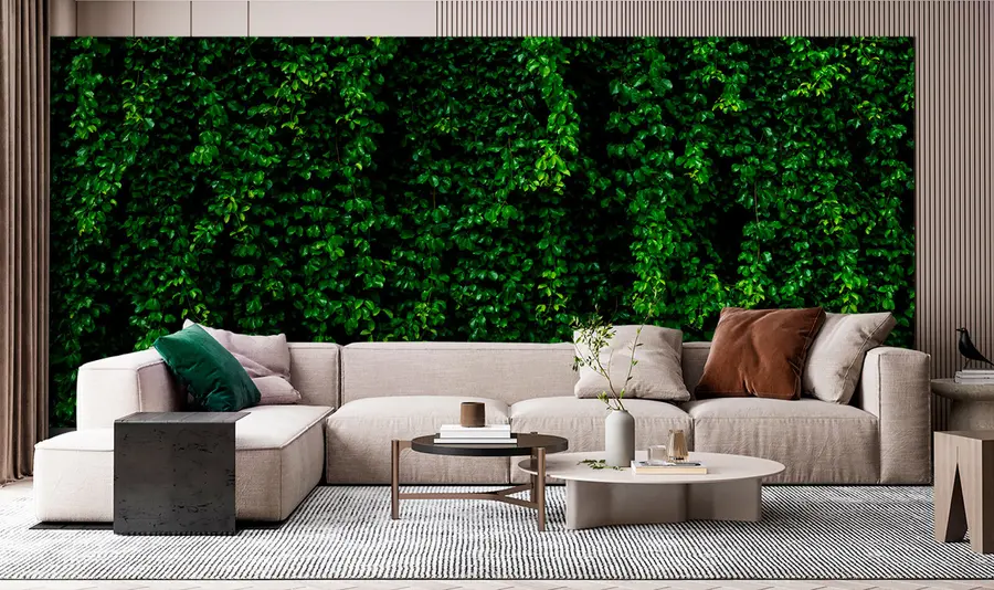 Murales de pared hoja tropical verde oscuro u94381 murales de pared hoja tropical verde oscuro u94381
