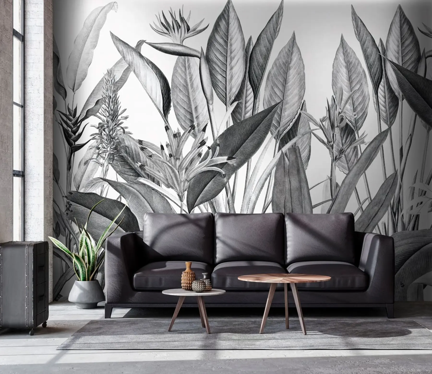 murales de pared Plantas de la selva tropical color blanco y negro. u96833
