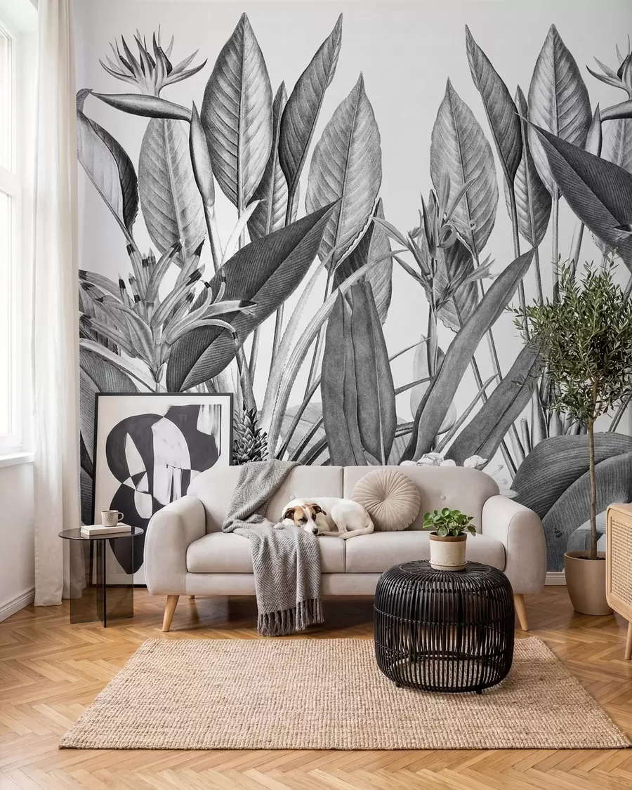 murales de pared Plantas de la selva tropical color blanco y negro u96833