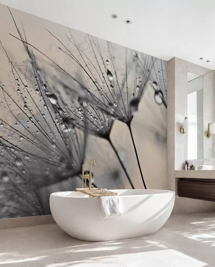 murales de pared Rocío de diente de león plata u57557v2
