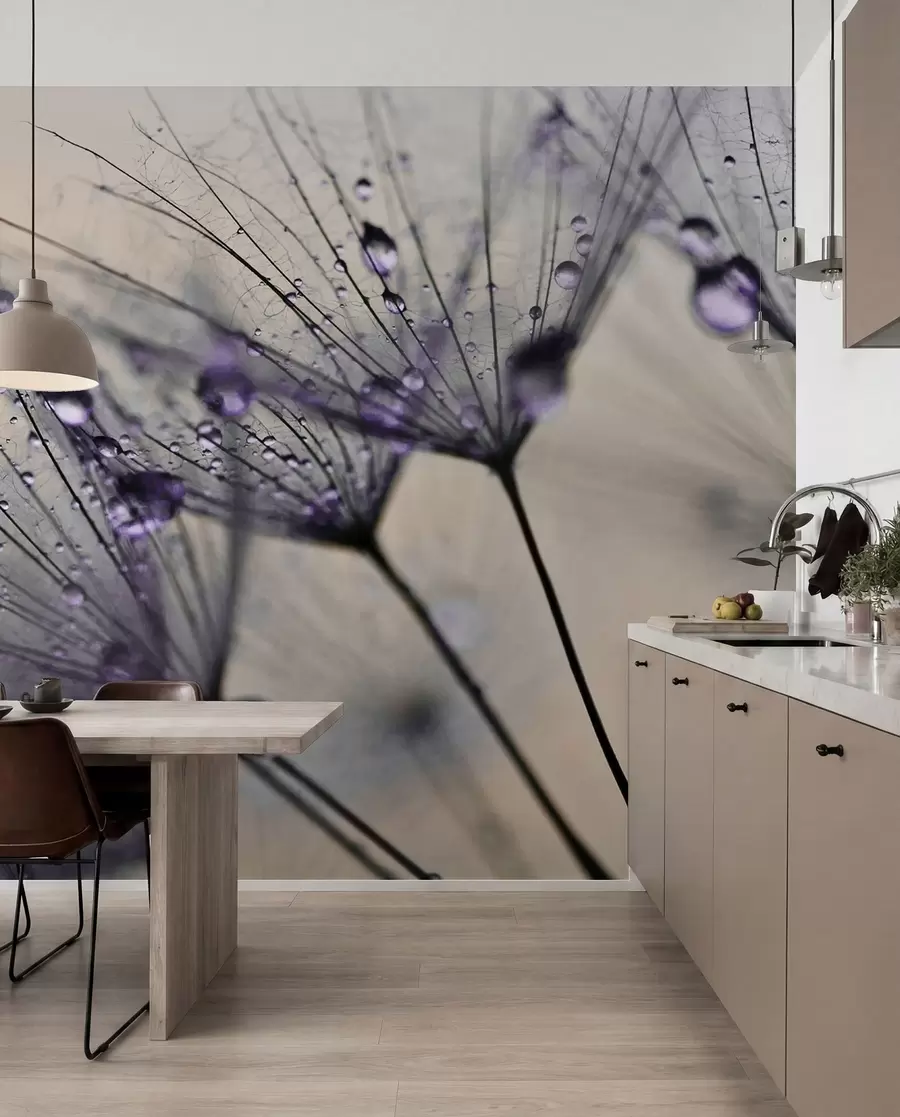 murales de pared Diente de león con rocío lila u57557v3
