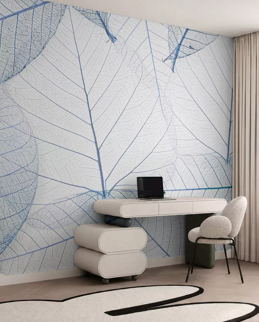 murales de pared Hojas transparentes de color azul u24439v1
