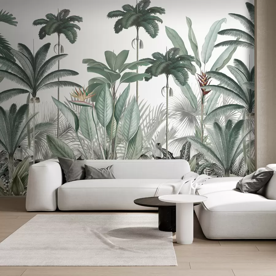 murales de pared Selva tropical y altas palmeras u98154